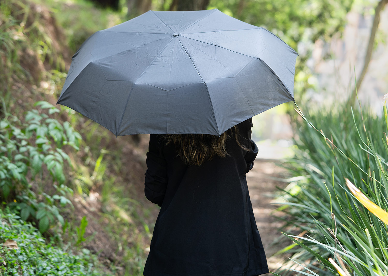 Set Paraguas Dalí - Imagen 3