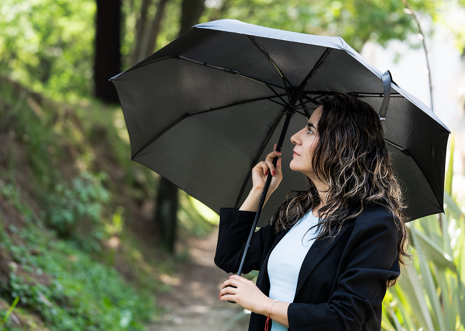 Set Paraguas Dalí - Imagen 9