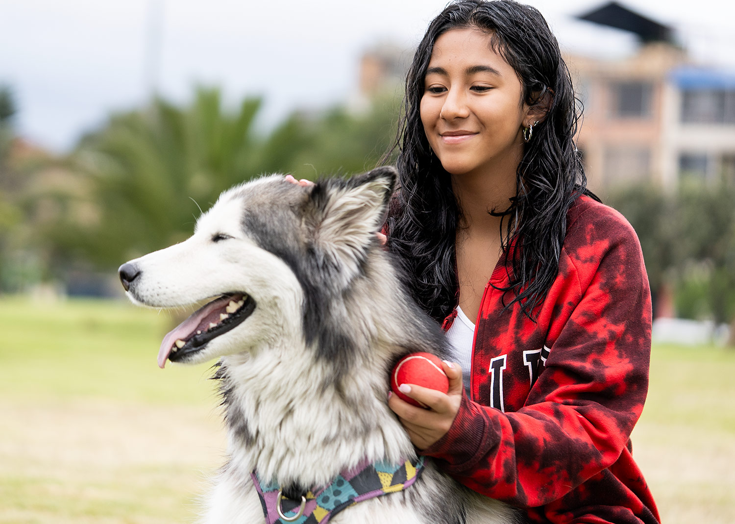 Pelota para mascotas Marley - Imagen 11